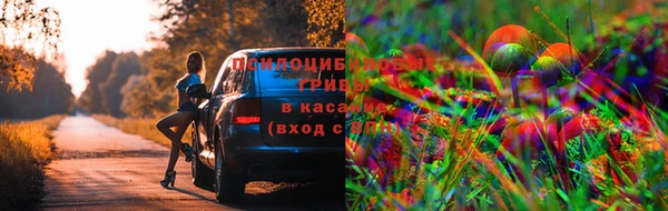 mdpv Киренск